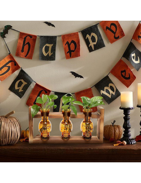 Jarrón de Vidrio Calavera con Soporte de Madera YYHglass