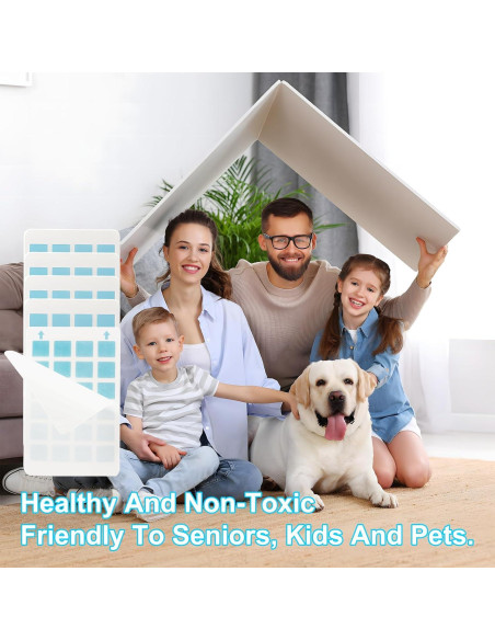 5 Recargas Tarjetas Adhesivas PESTCON para Trampa Insectos