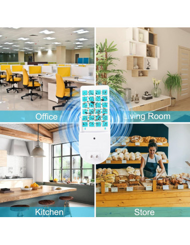 5 Recargas Tarjetas Adhesivas PESTCON para Trampa Insectos