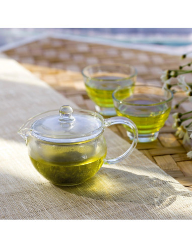 Tetera de vidrio Hario ChaCha Kyusu Maru 300ml