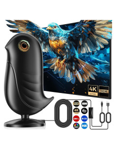 Antena de TV Interior FESAS 5.49 m Rango 1287 km 1080p 4K