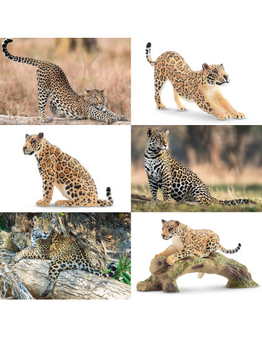 Juego de Figuras de Animales Jaguar TOYMANY 7PCS Realistas