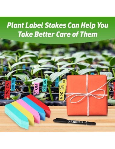 300 Etiquetas de Plástico para Jardín Dmsky 10x2 cm Impermeables