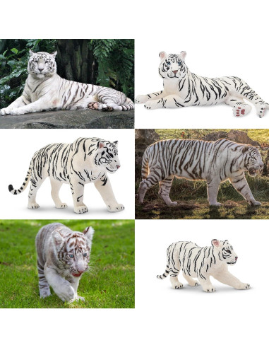 Set de Figuras de Tigres Blancos TOYMANY 6PCS 10 cm