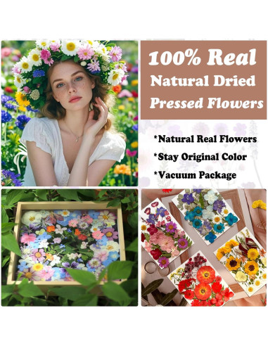 110 Pcs Flores Secas Prensadas LUCISKY para Manualidades