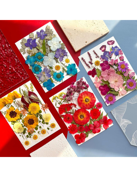 110 Pcs Flores Secas Prensadas LUCISKY para Manualidades