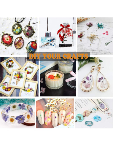 110 Pcs Flores Secas Prensadas LUCISKY para Manualidades