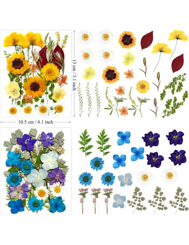 110 Pcs Flores Secas Prensadas LUCISKY para Manualidades