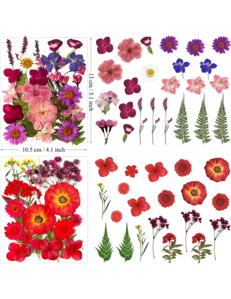 110 Pcs Flores Secas Prensadas LUCISKY para Manualidades