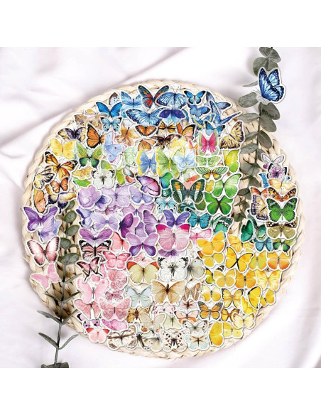 110 Pcs Flores Secas Prensadas LUCISKY para Manualidades