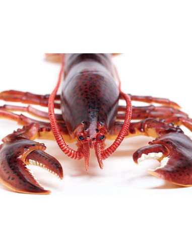 Figura de Langosta de Maine Safari Ltd. 20 cm Juguete Educativo