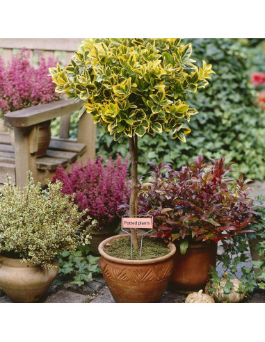 40 Etiquetas de Metal para Plantas Wehhbtye con Bolígrafo