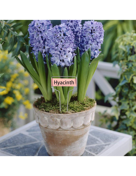 40 Etiquetas de Metal para Plantas Wehhbtye con Bolígrafo