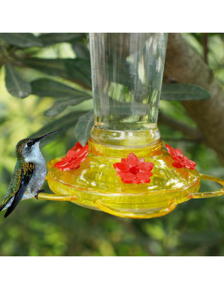 Alimentador de Colibríes Shrdaepe de Vidrio 0.28L 5 Puertos Rojo