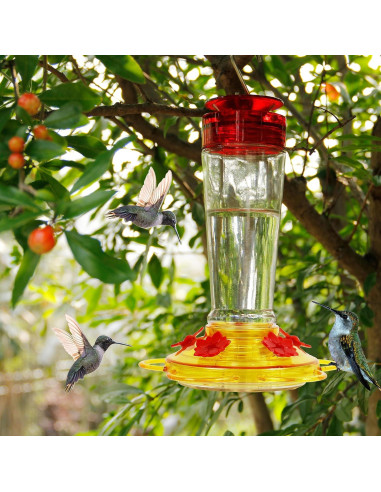 Alimentador de Colibríes Shrdaepe de Vidrio 0.28L 5 Puertos Rojo