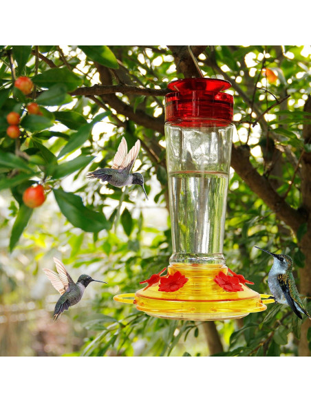 Alimentador de Colibríes Shrdaepe de Vidrio 0.28L 5 Puertos Rojo