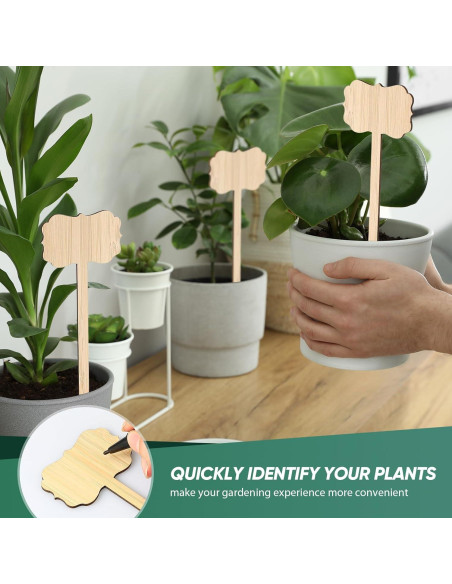 50 Etiquetas de Planta de Bambú Jingmore 20.32 cm Impermeables