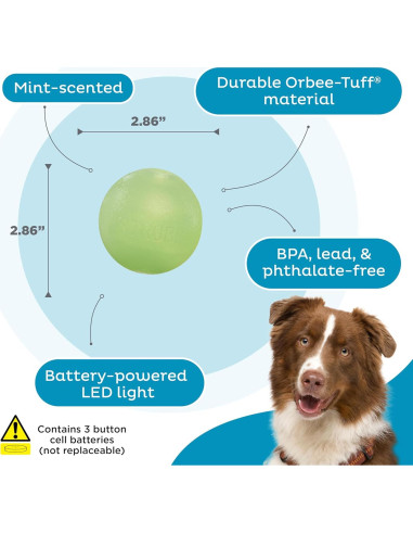 Pelota LED para Perros Outward Hound Strobe Verde 7.6cm