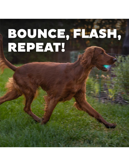 Pelota LED para Perros Outward Hound Strobe Verde 7.6cm