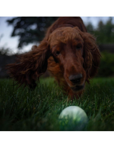 Pelota LED para Perros Outward Hound Strobe Verde 7.6cm