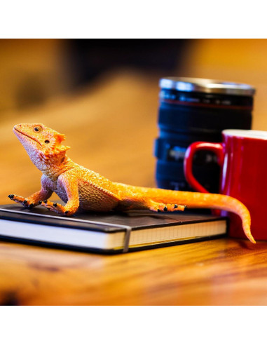 Figura Dragón Barbudo Safari Ltd. 21.6 cm Juguete Educativo