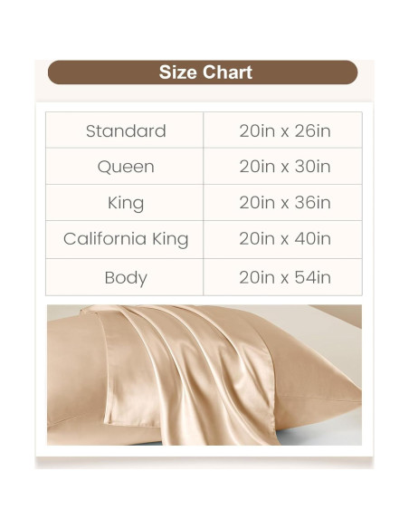 Funda de Almohada de Seda THXSILK 100% Morera 20x66cm Beige