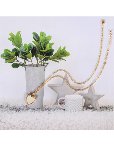 Collar medallón corazón plata madreperla 45.72 cm mujeres