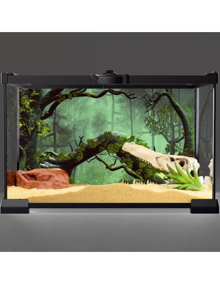 Fondo de Acuario 60x30 cm AWERT Bosque Nublado Poliester Fondo de Acuario 60x30 cm AWERT Bosque Nublado Poliester