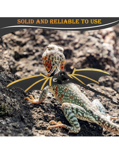 Juego de Arnés y Correa para Dragones Barbudos Wesnoy - 3 Tamaños Ajustables