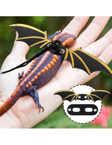 Juego de Arnés y Correa para Dragones Barbudos Wesnoy - 3 Tamaños Ajustables