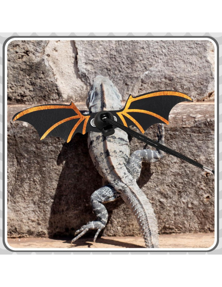 Juego de Arnés y Correa para Dragones Barbudos Wesnoy - 3 Tamaños Ajustables