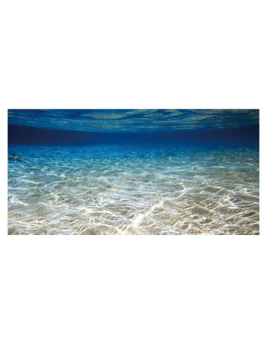 Fondo de Acuario 61x30 cm Vinilo AWERT Tema Océano
