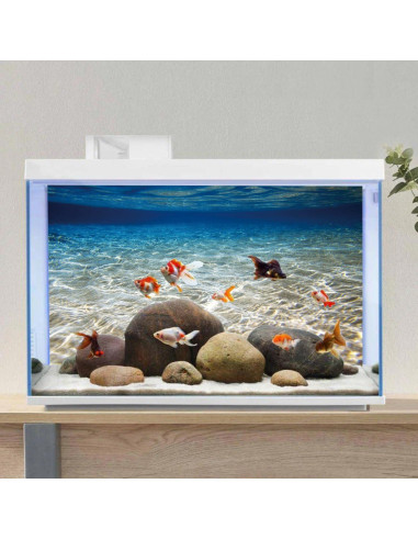 Fondo de Acuario 61x30 cm Vinilo AWERT Tema Océano