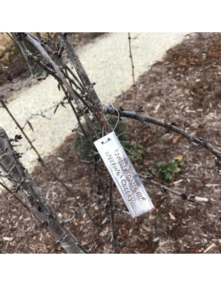 Etiquetas de Plantas de Aluminio TINSKY 50PCS Resistentes e Impermeables