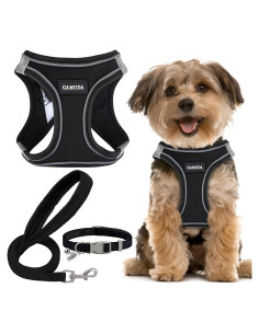 Conjunto Arnés, Collar y Correa para Perros GAMUDA Negro XS