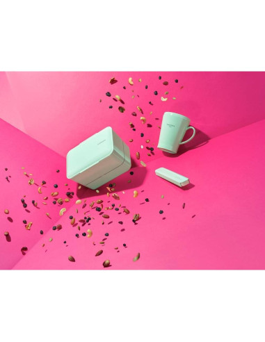 Caja Bento Ecológica TAKENAKA Menta 1155 ml Microondas