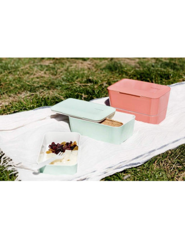 Caja Bento Ecológica TAKENAKA Menta 1155 ml Microondas