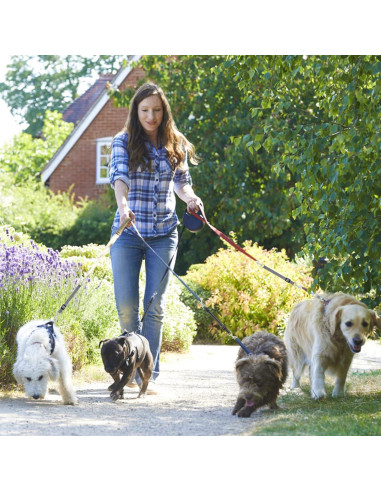 Clips de Collar de Prong Cobee Reflectantes Ajustables 2 Pcs