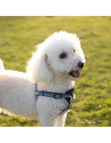 Clips de Collar de Prong Cobee Reflectantes Ajustables 2 Pcs