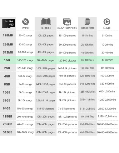 Tarjeta Micro SD 1GB Lerdisk Clase 4 Alta Velocidad