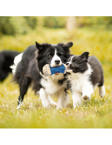 Juguete Indestructible para Perros PcEoTllar - Puzzle de Goma Azul