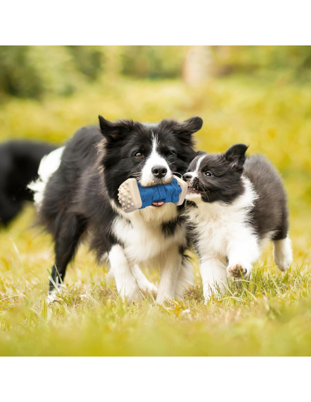 Juguete Indestructible para Perros PcEoTllar - Puzzle de Goma Azul Juguete Indestructible para Perros PcEoTllar - Puzzle de Goma Azul