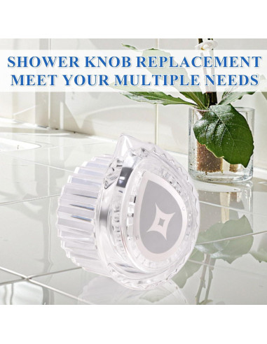 Mango de Ducha RYUTAIN Compatible Moen 100710 Cristal