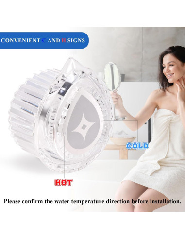 Mango de Ducha RYUTAIN Compatible Moen 100710 Cristal