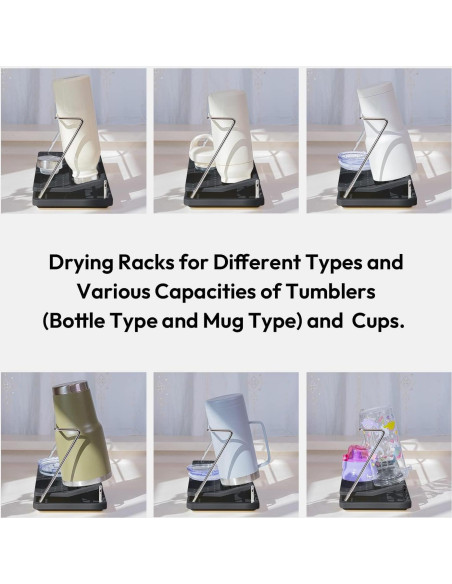 Soporte para Secar Botellas Carrotez - Negro, Polipropileno