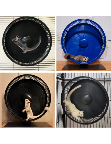 Rueda de Ejercicio Silent Runner Pro 30 cm Negra con Soporte Rueda de Ejercicio Silent Runner Pro 30 cm Negra con Soporte