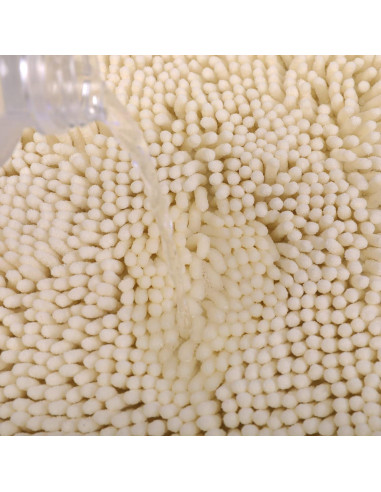 Alfombra de Baño Antideslizante KAMA BRIDAL Beige 30x30 cm