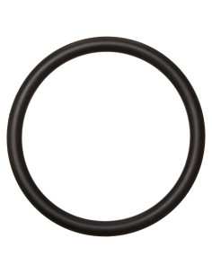 O-Ring de Plástico 2" Aladdin Equipment O-370-9
