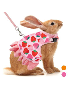 Arnés y Correa para Conejos ALUZAEMO Rosa Malla Transpirable