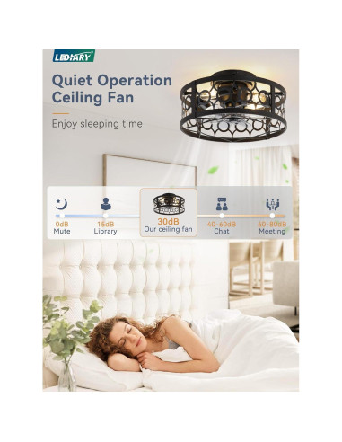Ventilador de Techo LEDIARY 40.64cm con Luz y Control Remoto